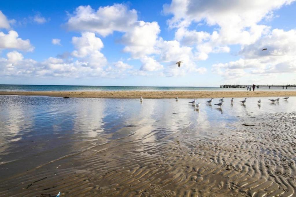 Ferienwohnung Seesternchen 2 Scharbeutz Zewnętrze zdjęcie