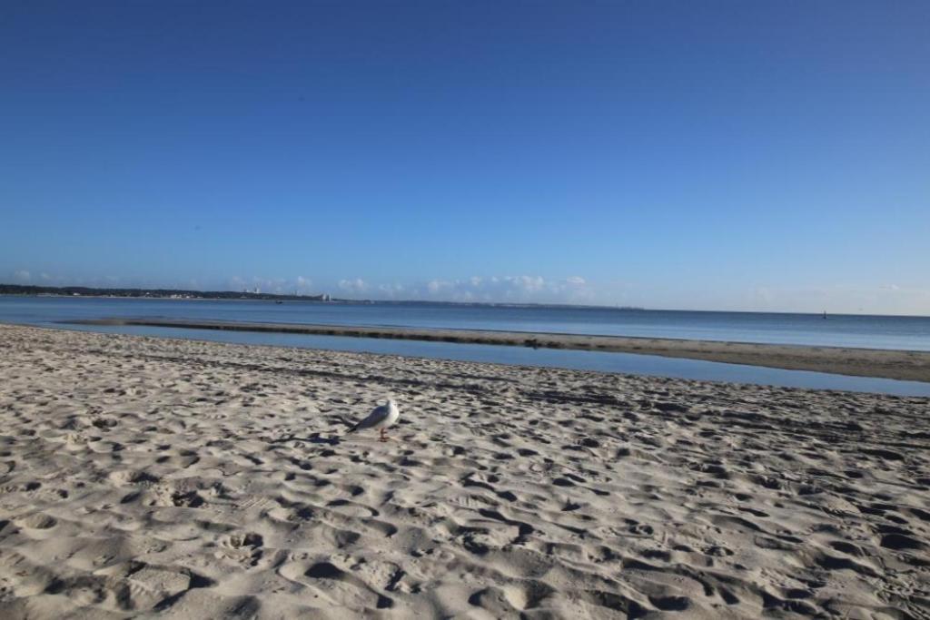 Ferienwohnung Seesternchen 2 Scharbeutz Zewnętrze zdjęcie